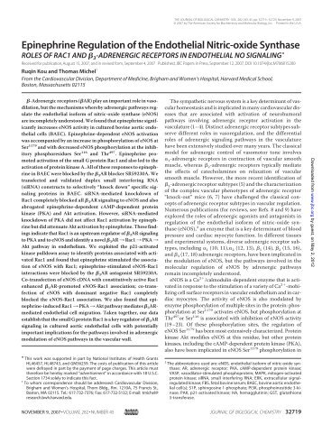 Epinephrine Regulation of the Endothelial Nitric-oxide ... - Michel Lab