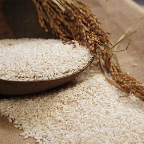 Riso, Cereali e Farine Naturali, dal produttore al consumatore - Salera