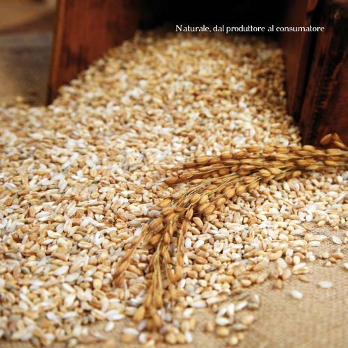 Riso, Cereali e Farine Naturali, dal produttore al consumatore - Salera