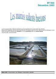 Les marais salants bretons doc.pdf - Icem