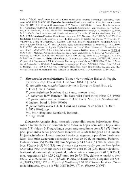 Contribución al estudio taxonómico de Ranunculus L. subgen ...