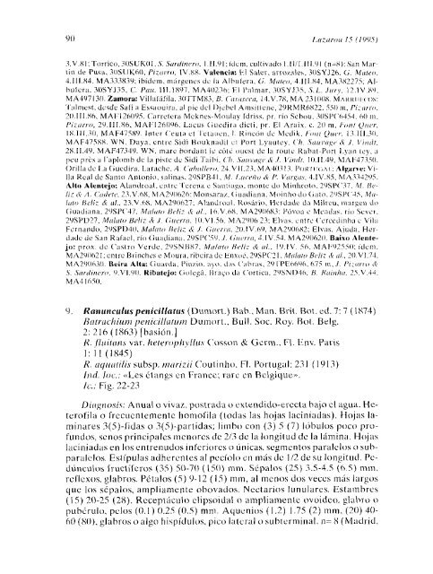 Contribución al estudio taxonómico de Ranunculus L. subgen ...