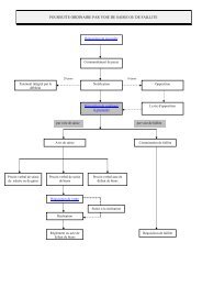 poursuite ordinaire par voie de saisie ou de faillite - République et ...