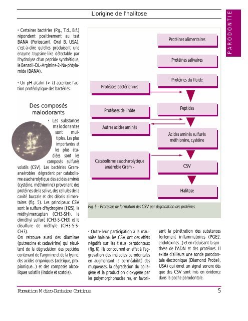 La mauvaise haleine : prise en charge au cabinet dentaire