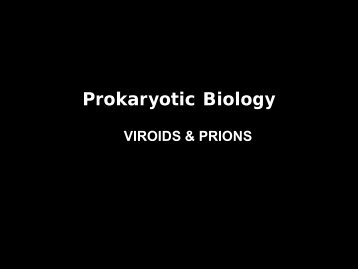 Viroids & Prions.pdf