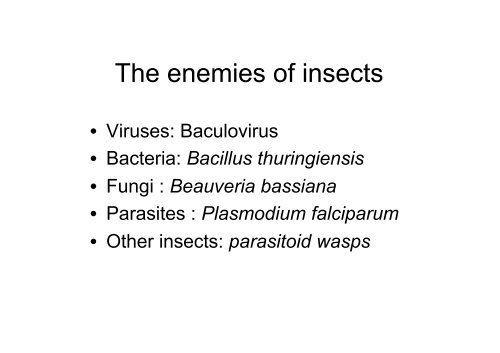 Insect Immunity & Drosophila Gut Immune Response