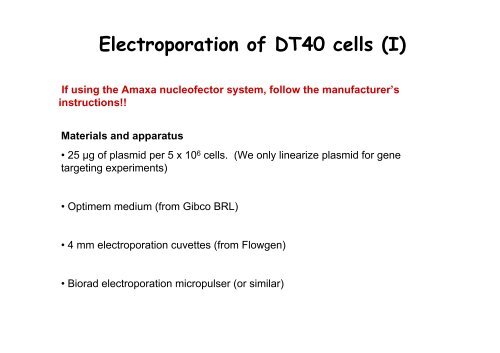 Monitoring mitotic cell division in DT40 cells - Events