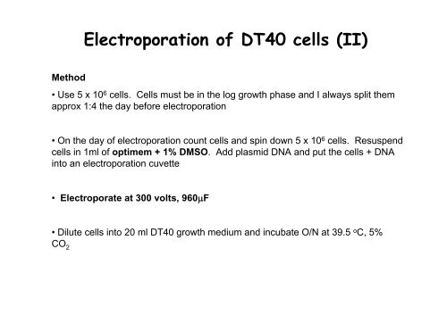 Monitoring mitotic cell division in DT40 cells - Events