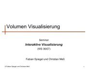 Volumen Visualisierung