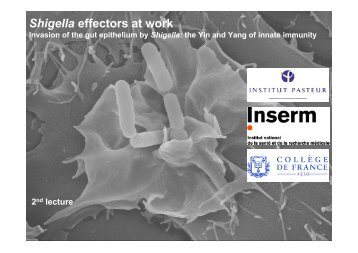 Shigella Effectors at Work - EMBO