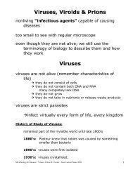 Viruses, Viroids & Prions Viruses
