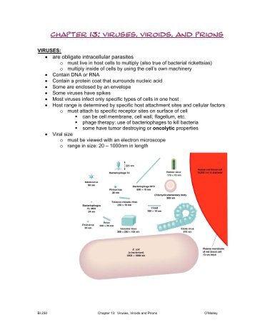 Chapter 13: Viruses, Viroids, and Prions - Dr. Jill O'Malley