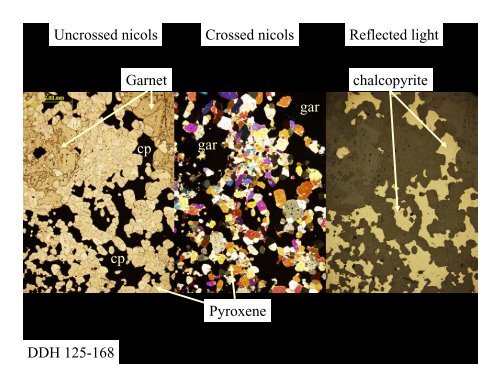 Larry Meinert Department of Geology Smith College Email ... - diabras