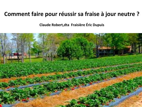 Comment faire pour réussir sa fraise à jour neutre ? - MAPAQ