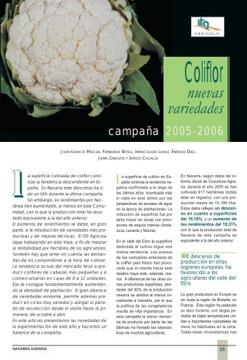 Coliflor - Navarra agraria