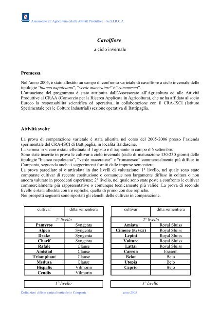 Cavolfiore - ciclo invernale - Regione Campania