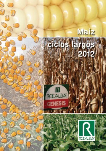 Maíz ciclos largos 2012 - Rocalba
