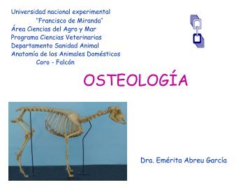 Osteología - Biblioteca UNEFM
