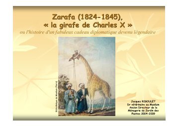 Zarafa (1824-1845), « la girafe de Charles X - Académie Vétérinaire ...