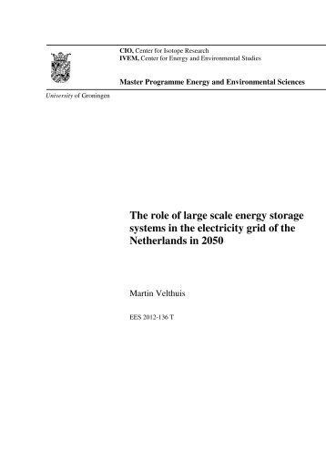 The role of large scale energy storage systems in the electricity grid ...