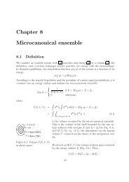 Chapter 8 Microcanonical ensemble