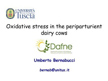 Oxidative stress in the periparturient dairy cows - Istituti