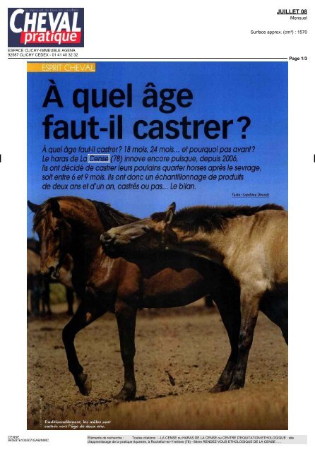 A quel âge faut-il castrer? - Haras de la Cense