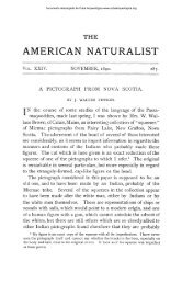 A Pictograph from Nova Scotia - Cuba Arqueológica