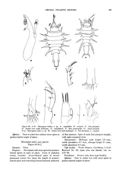 The Isopods of Abyssal Depths in the Atlantic Ocean