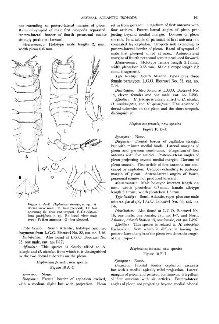 The Isopods of Abyssal Depths in the Atlantic Ocean