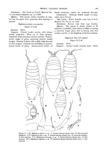 The Isopods of Abyssal Depths in the Atlantic Ocean