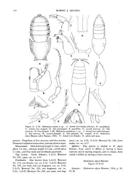 The Isopods of Abyssal Depths in the Atlantic Ocean