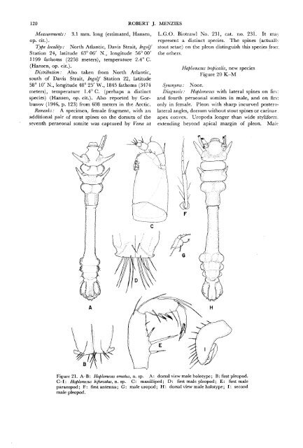 The Isopods of Abyssal Depths in the Atlantic Ocean