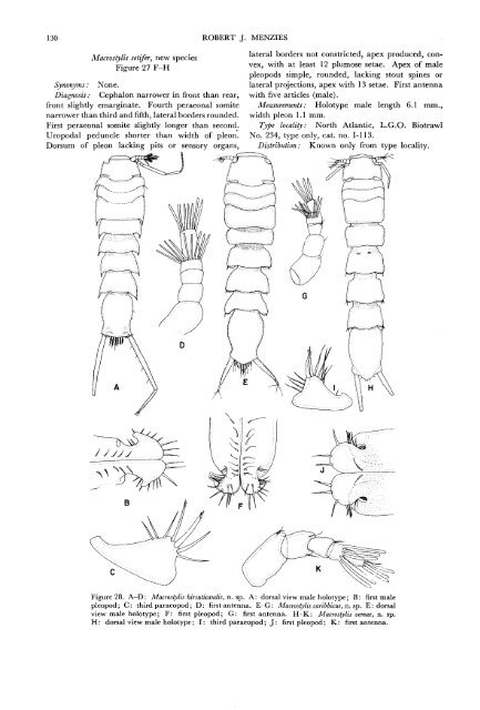 The Isopods of Abyssal Depths in the Atlantic Ocean