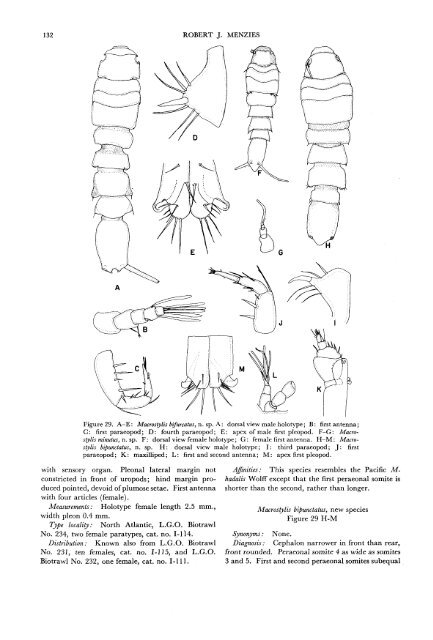 The Isopods of Abyssal Depths in the Atlantic Ocean