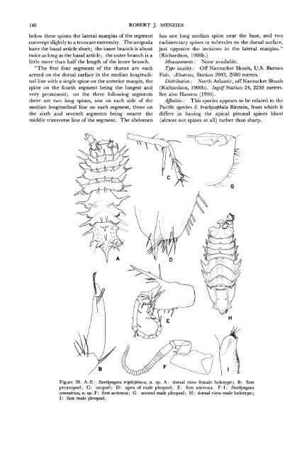 The Isopods of Abyssal Depths in the Atlantic Ocean