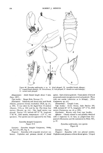 The Isopods of Abyssal Depths in the Atlantic Ocean