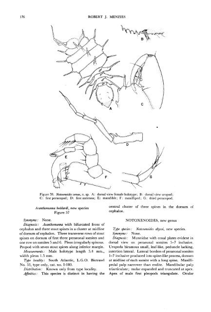 The Isopods of Abyssal Depths in the Atlantic Ocean