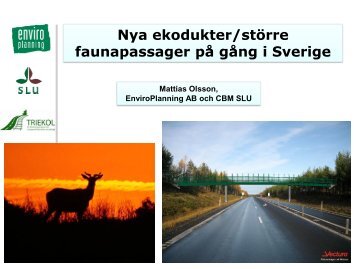 Nya ekodukter på gång i Sverige