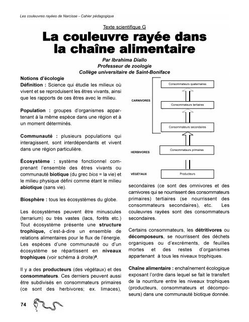 La couleuvre rayée dans la chaîne alimentaire