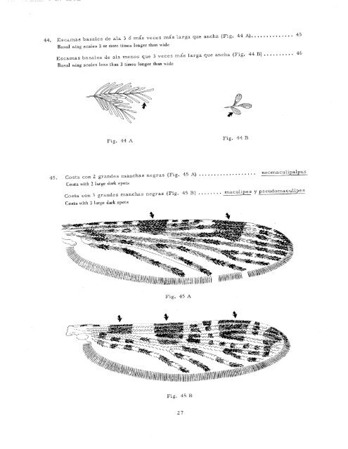 clave ilustrada para los mosquitos anofelinos de sudamerica oriental