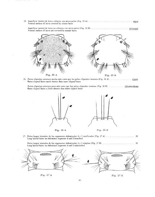 clave ilustrada para los mosquitos anofelinos de sudamerica oriental