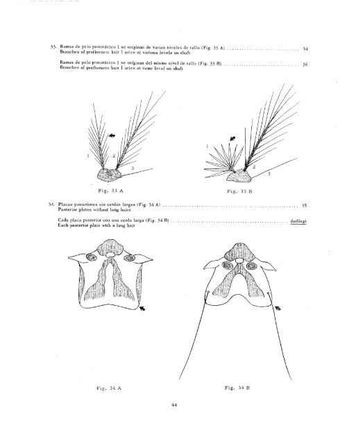 clave ilustrada para los mosquitos anofelinos de sudamerica oriental