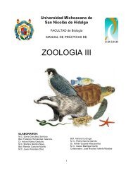 Facultad de Biología - Universidad Michoacana de San Nicolás de ...