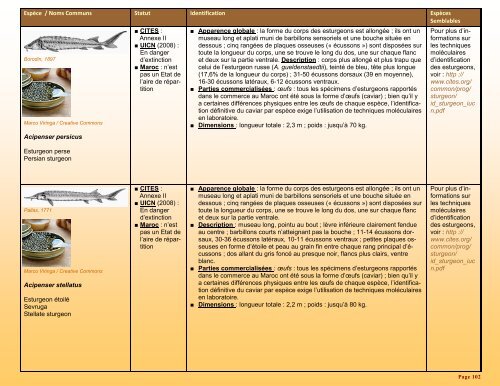 un guide d'identification détaillé des espèces CITES les plus ...