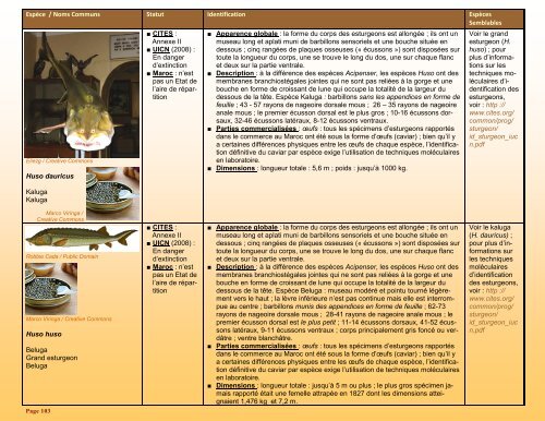 un guide d'identification détaillé des espèces CITES les plus ...