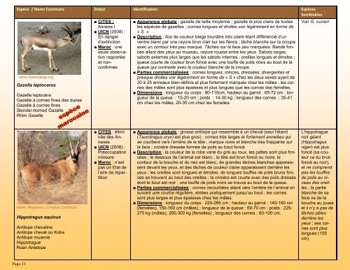 un guide d'identification détaillé des espèces CITES les plus ...