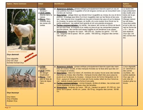 un guide d'identification détaillé des espèces CITES les plus ...