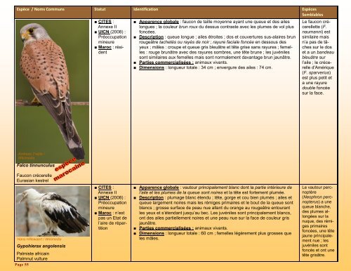 un guide d'identification détaillé des espèces CITES les plus ...