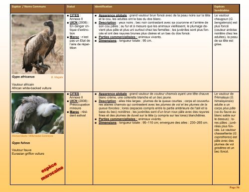 un guide d'identification détaillé des espèces CITES les plus ...